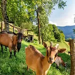 Nature Hideaway Homes With Sauna - One Bedroom *